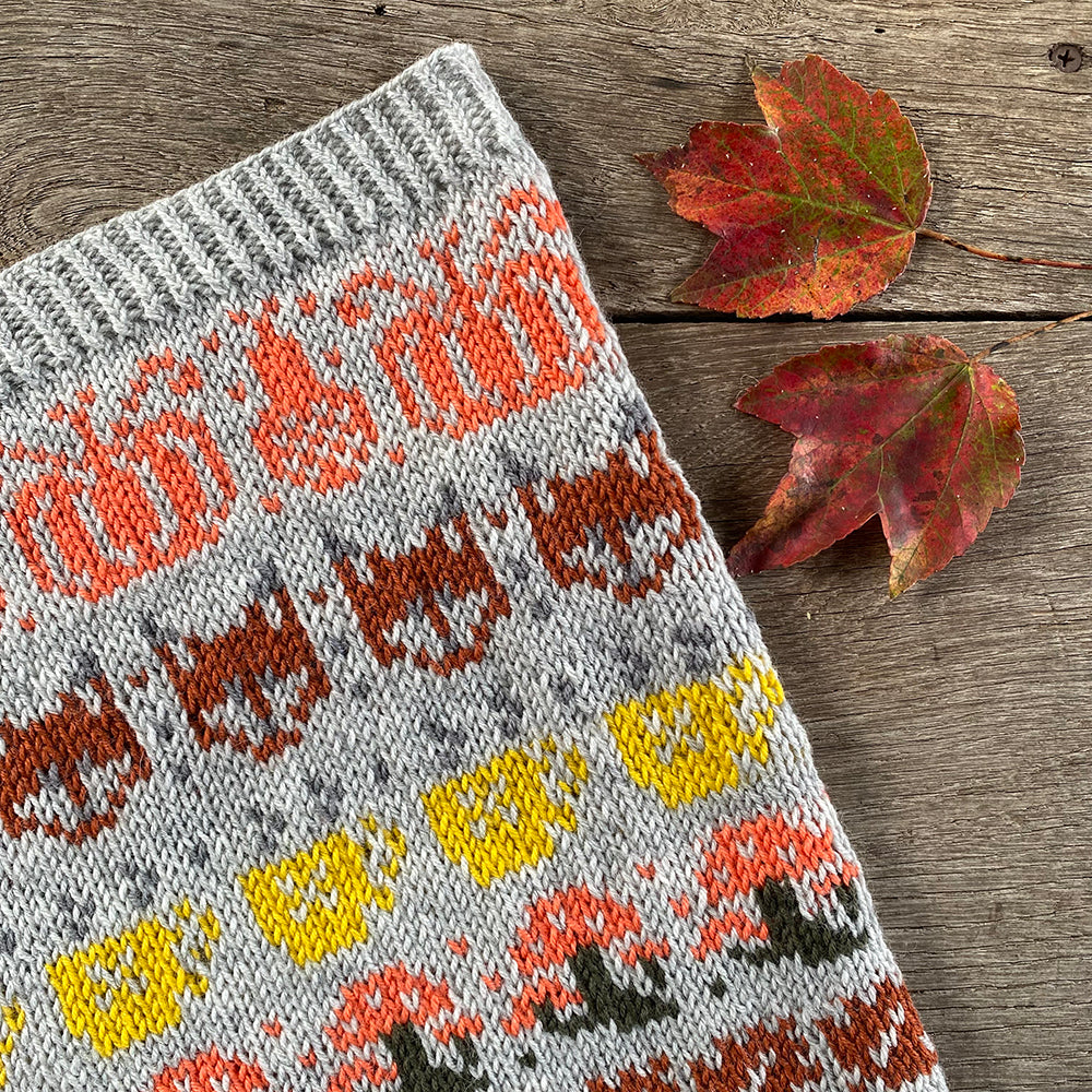 Newsletter 797 Haus of Yarn