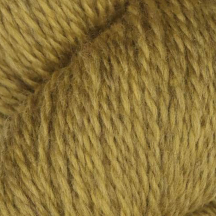 Rambouillet Merino