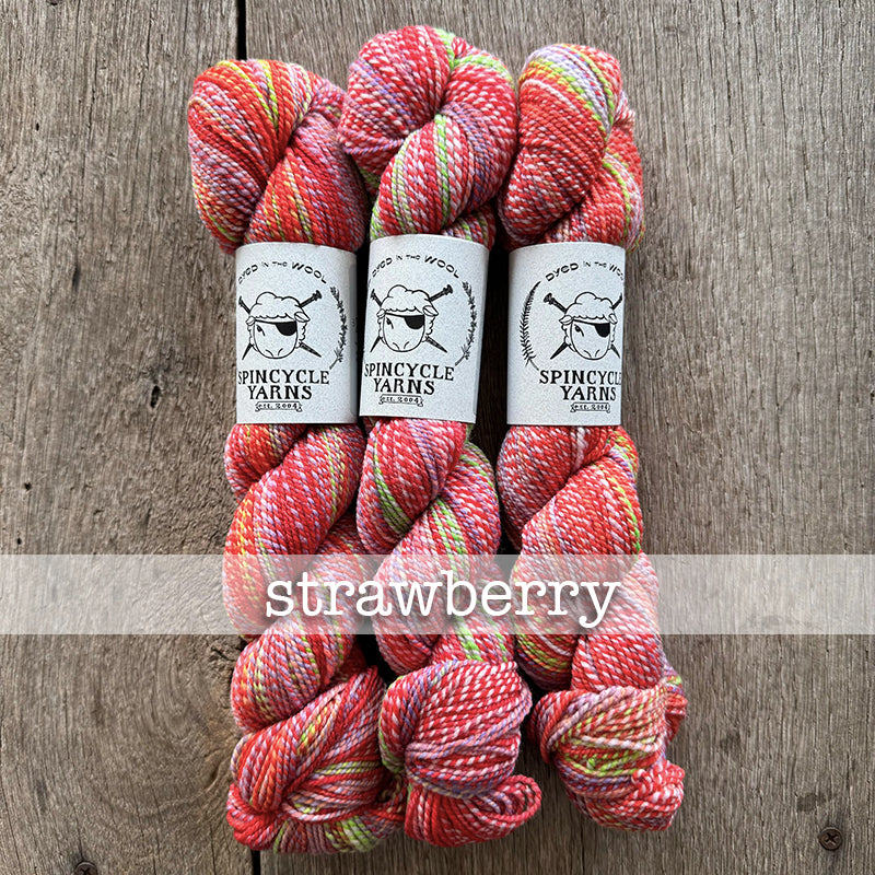 Spincycle Dyed in the Wool