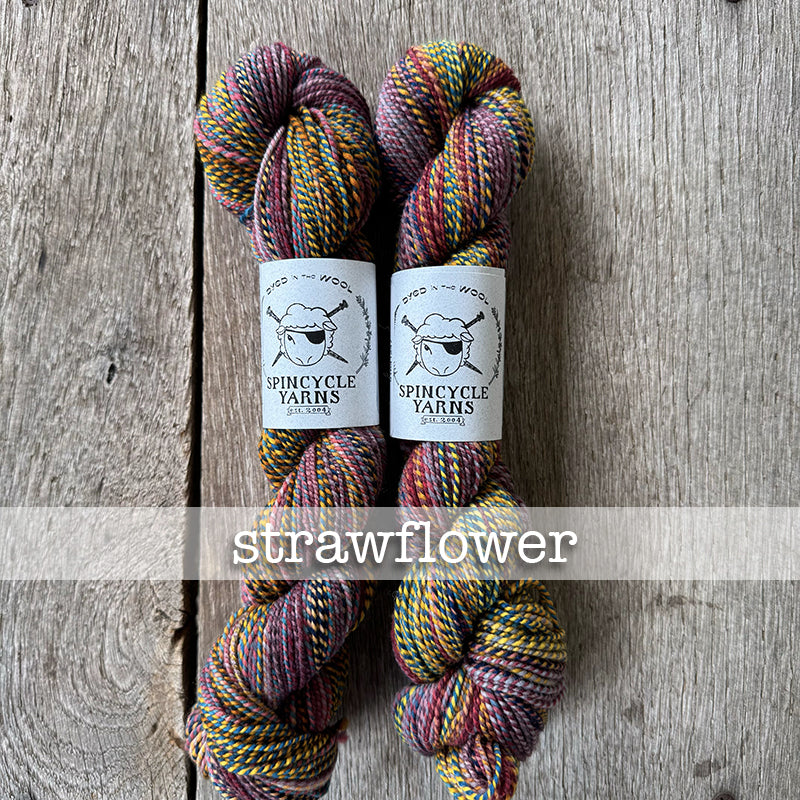 Spincycle Dyed in the Wool