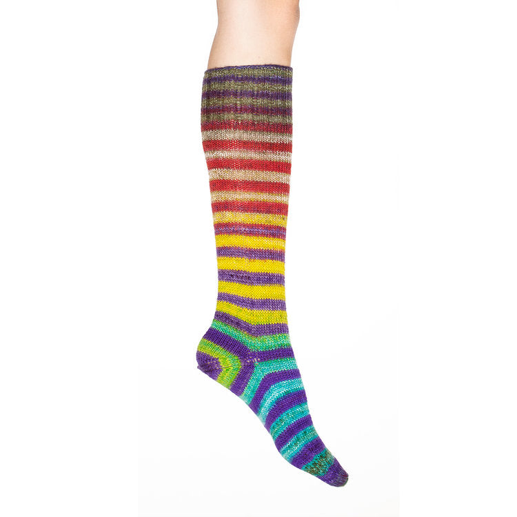 Uneek Sock Kit - Haus of Yarn