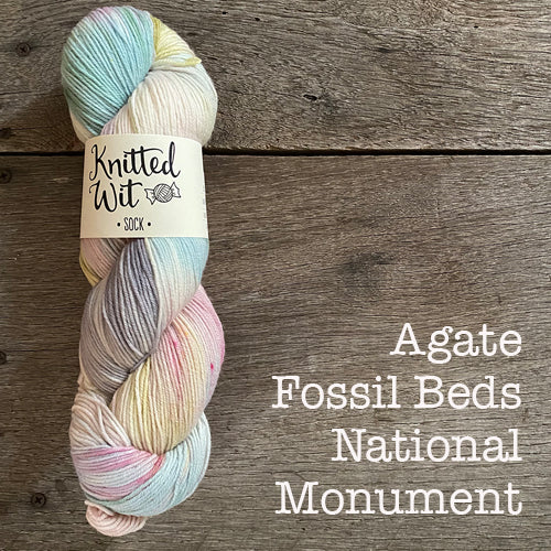 Knitted Wit Craft the Parks Sock