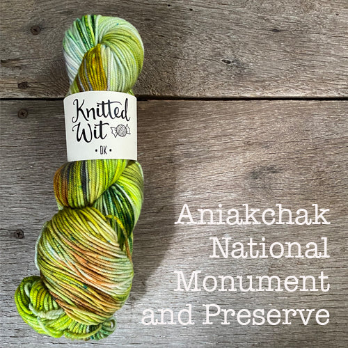 Knitted Wit Craft the Parks DK