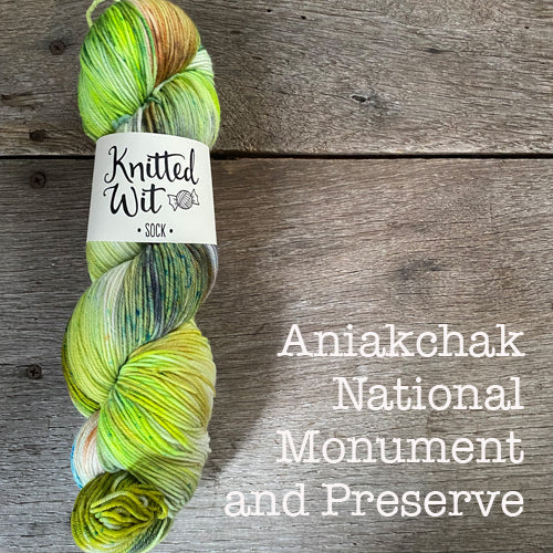 Knitted Wit Craft the Parks Sock