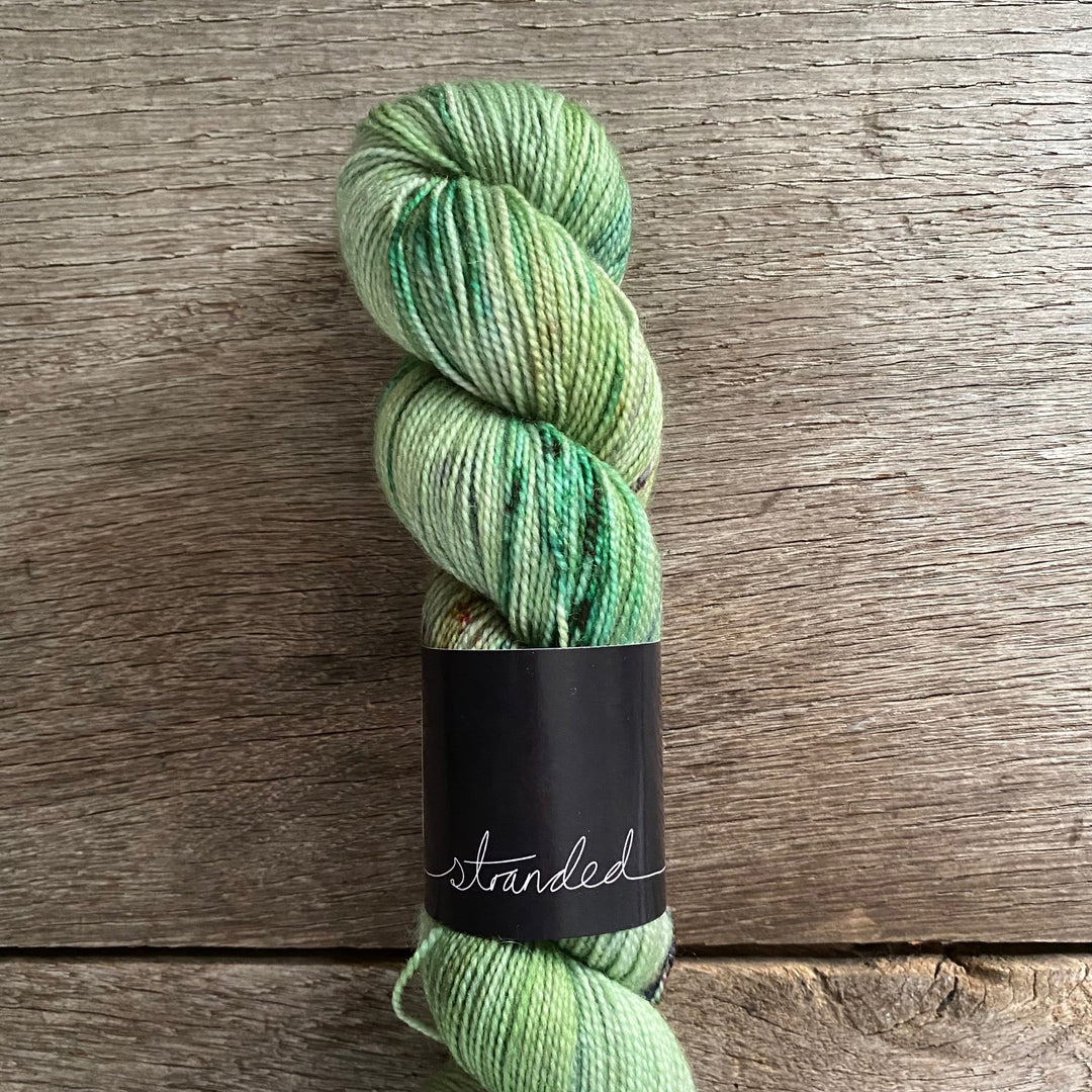 Stranded Dyeworks BFL/Nylon Consignment