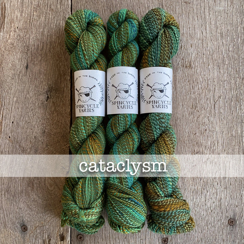 Spincycle Dyed in the Wool