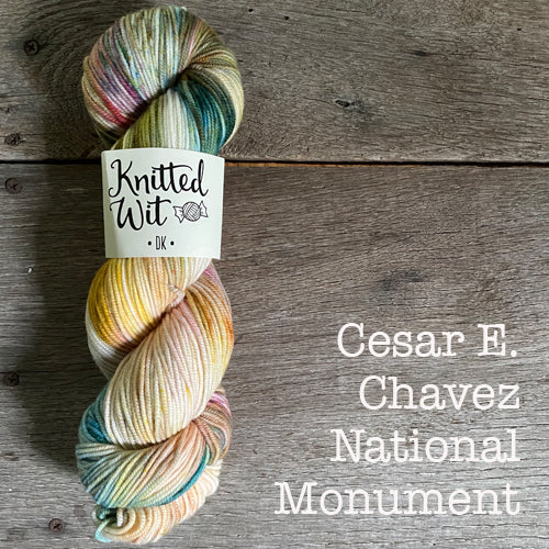 Knitted Wit Craft the Parks DK