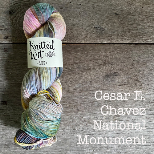 Knitted Wit Craft the Parks Sock