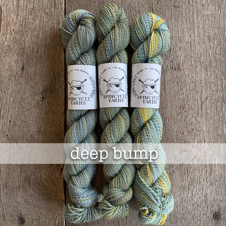 Spincycle Dyed in the Wool