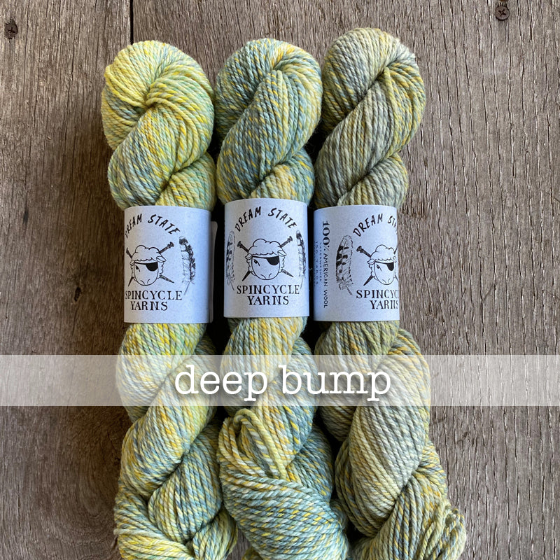 Spincycle Dream State