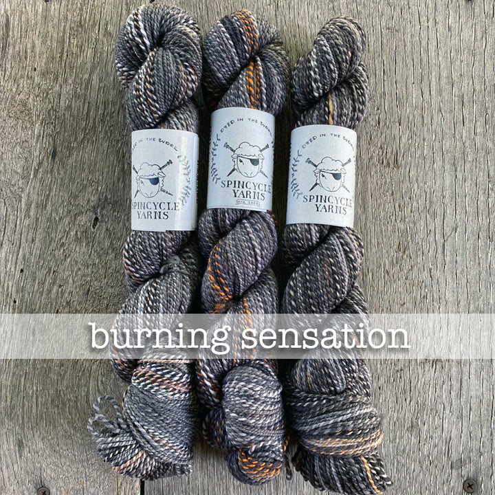 Spincycle Dyed in the Wool