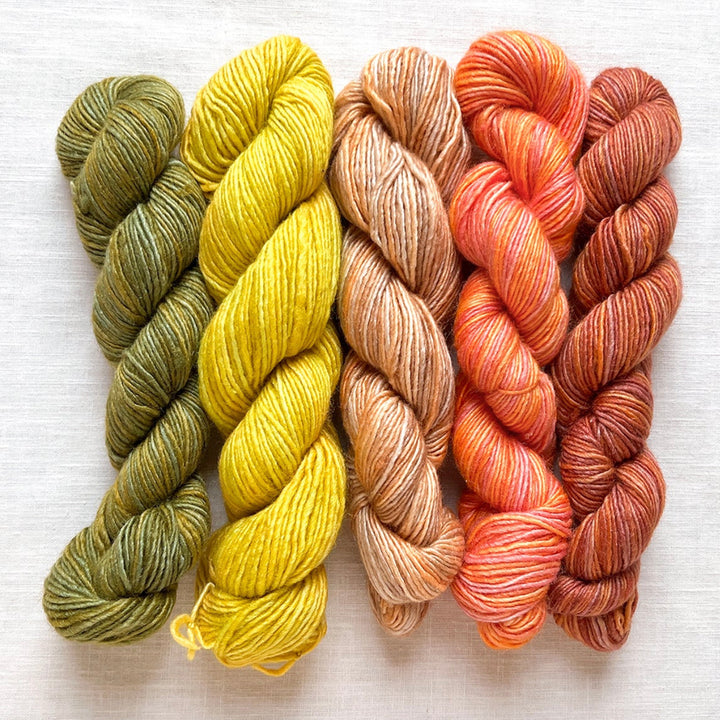 Manos del Uruguay Fino Mini Skein Kit
