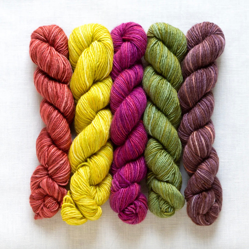Manos del Uruguay Fino Mini Skein Kit
