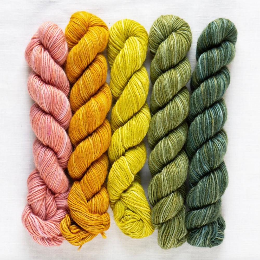 Manos del Uruguay Fino Mini Skein Kit