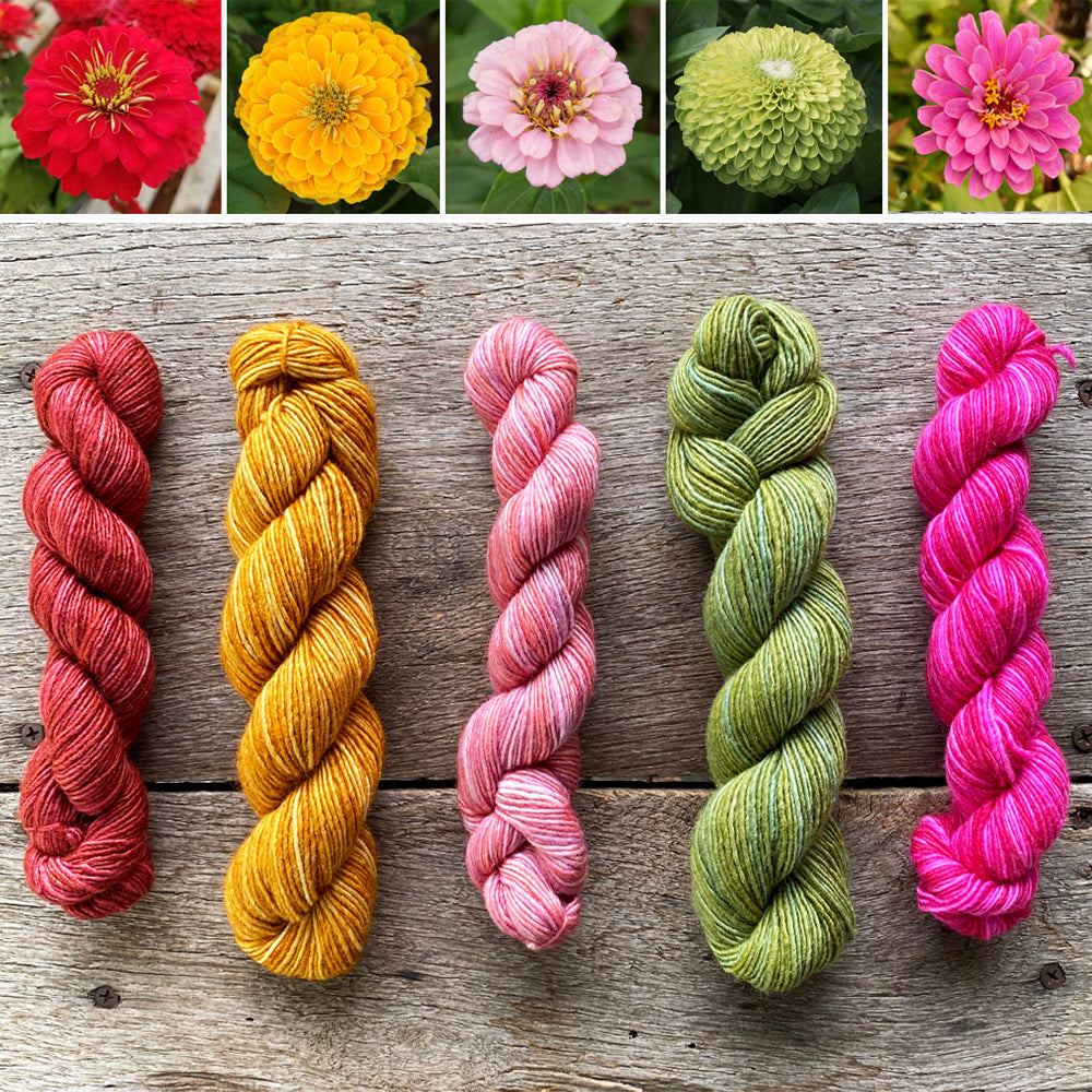 Manos del Uruguay Fino Mini Skein Kit