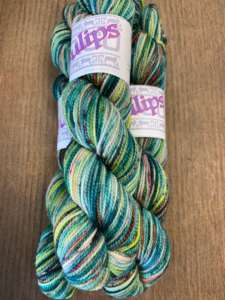 Koigu Collector's Club - Haus of Yarn