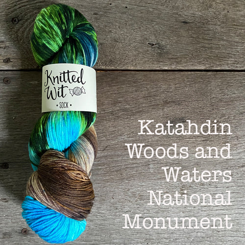 Knitted Wit Craft the Parks Sock