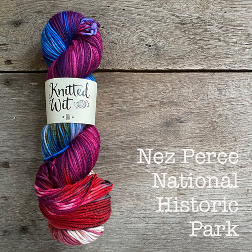 Knitted Wit Craft the Parks DK