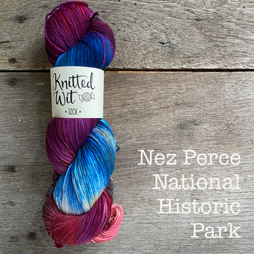 Knitted Wit Craft the Parks Sock