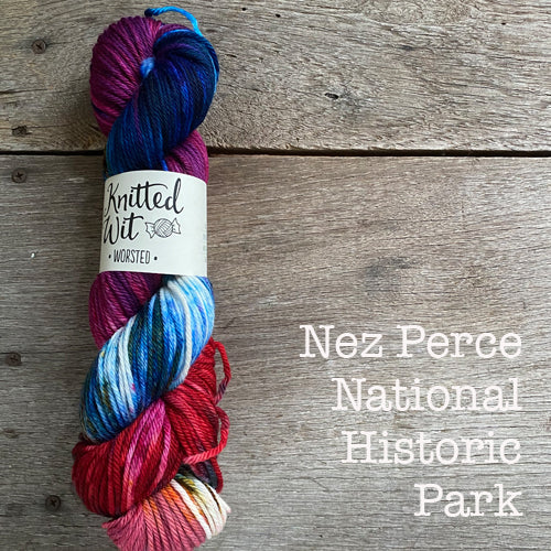 Knitted Wit Craft the Parks Worsted