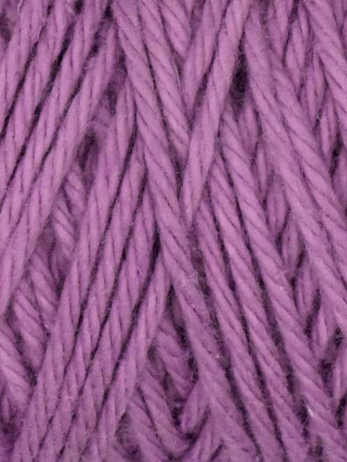 Coastal Cotton