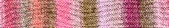 Noro Mebuki