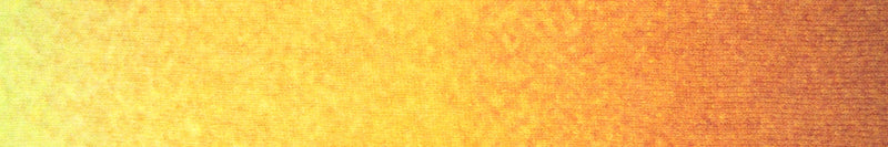 Poema Alpaca