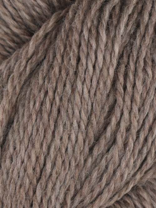 Rambouillet Merino