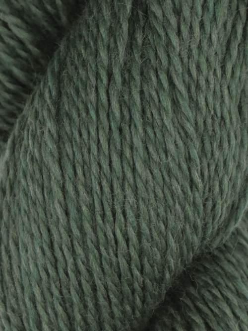 Rambouillet Merino