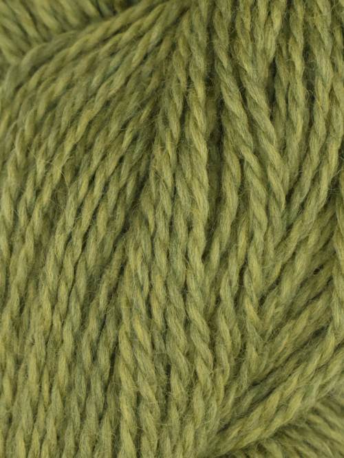 Rambouillet Merino