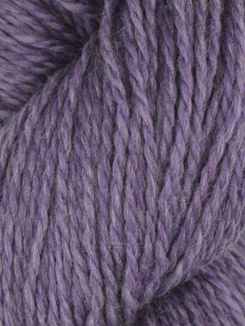 Rambouillet Merino