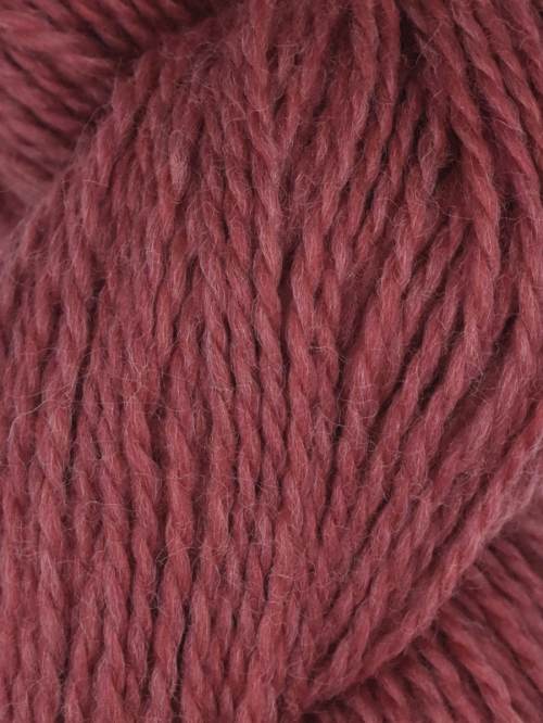 Rambouillet Merino