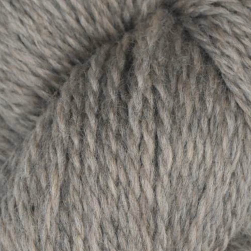 Rambouillet Merino