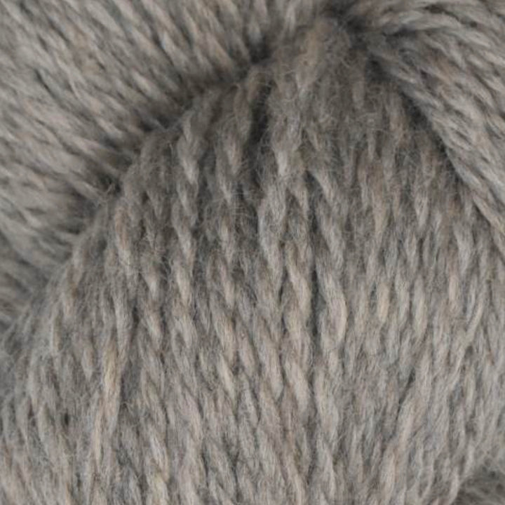 Rambouillet Merino