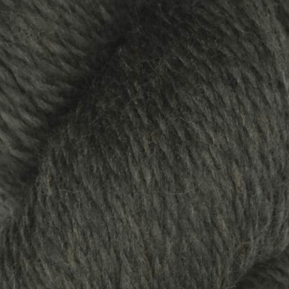 Rambouillet Merino