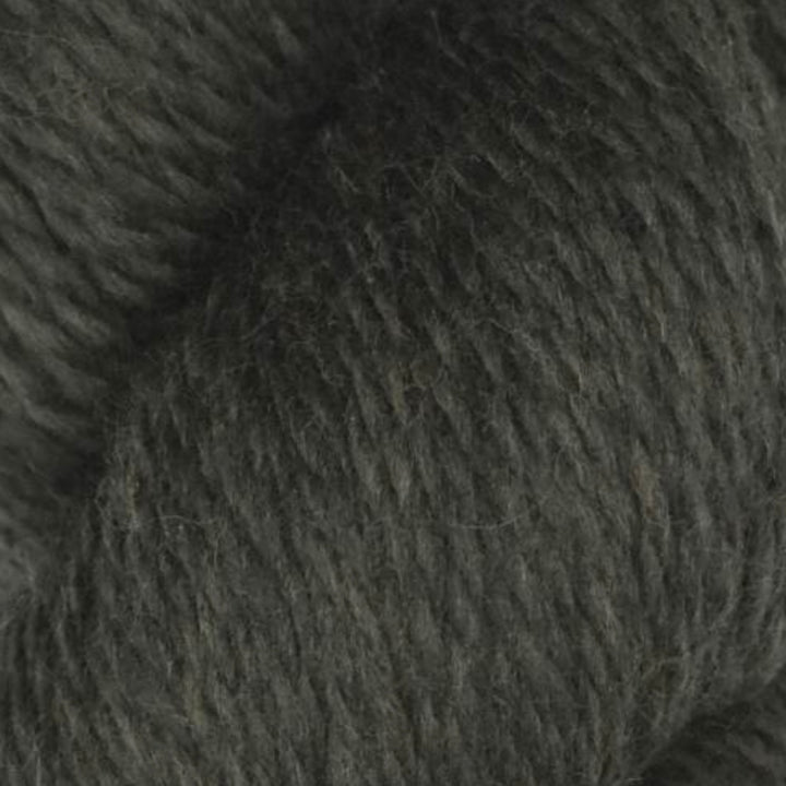 Rambouillet Merino