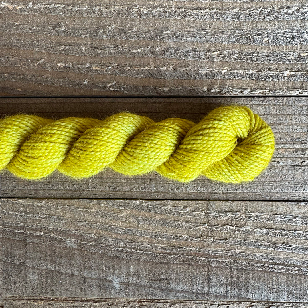 Old Rusted Chair Tonal Mini