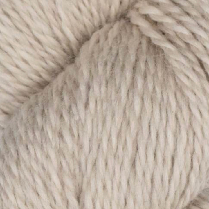 Rambouillet Merino