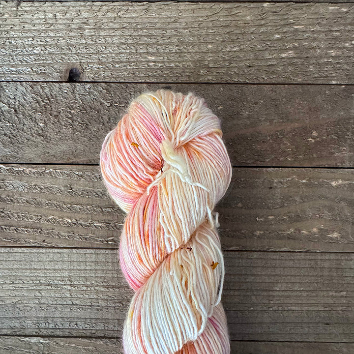 Haus Zinnias 2026