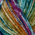 Plymouth Yarn Encore Colorspun