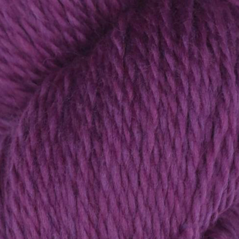 Rambouillet Merino