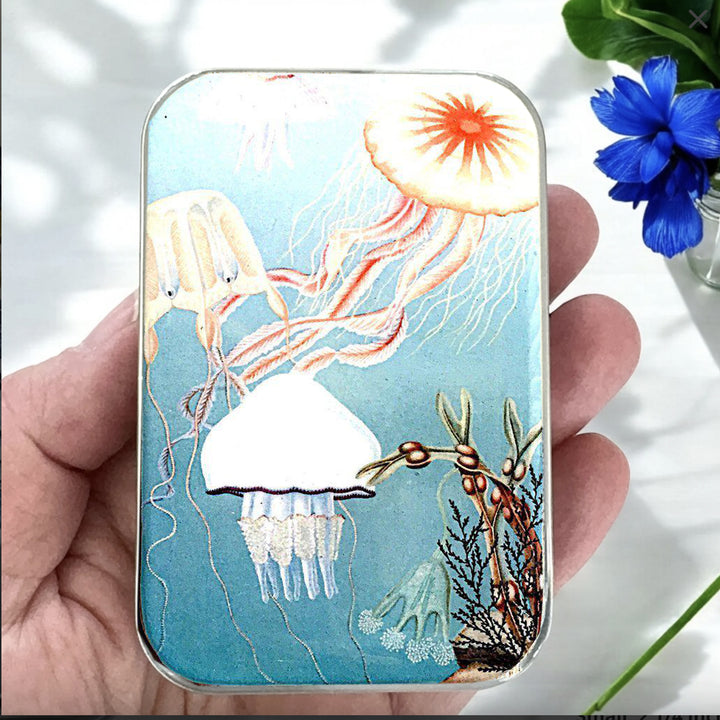 Notions Tin
