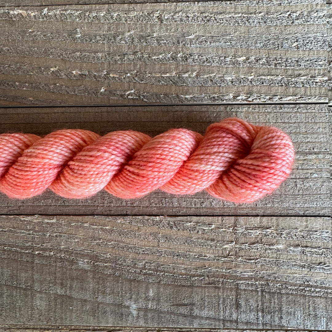 Old Rusted Chair Tonal Mini