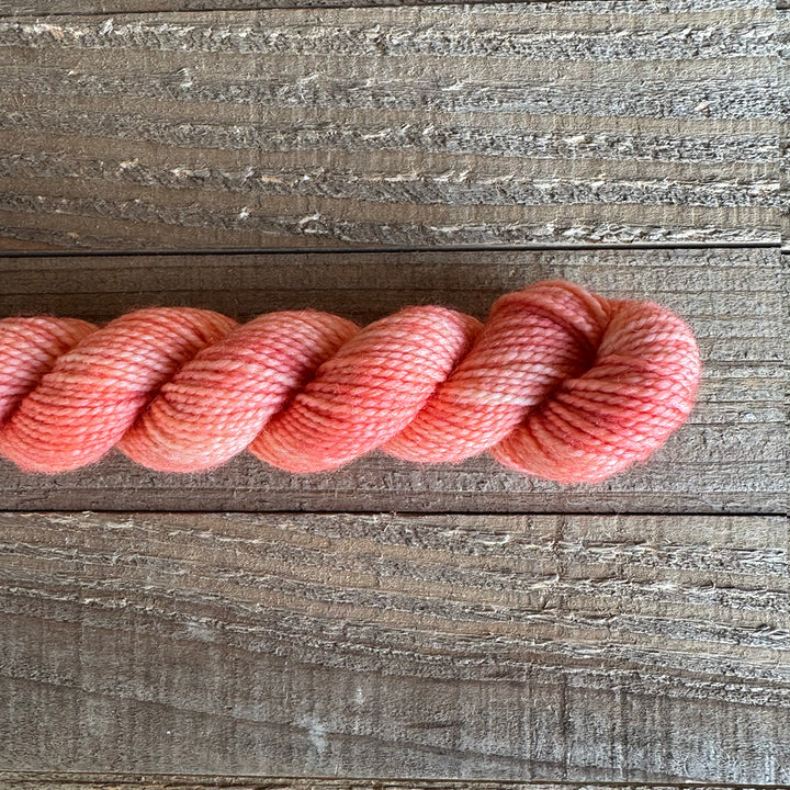 Old Rusted Chair Tonal Mini