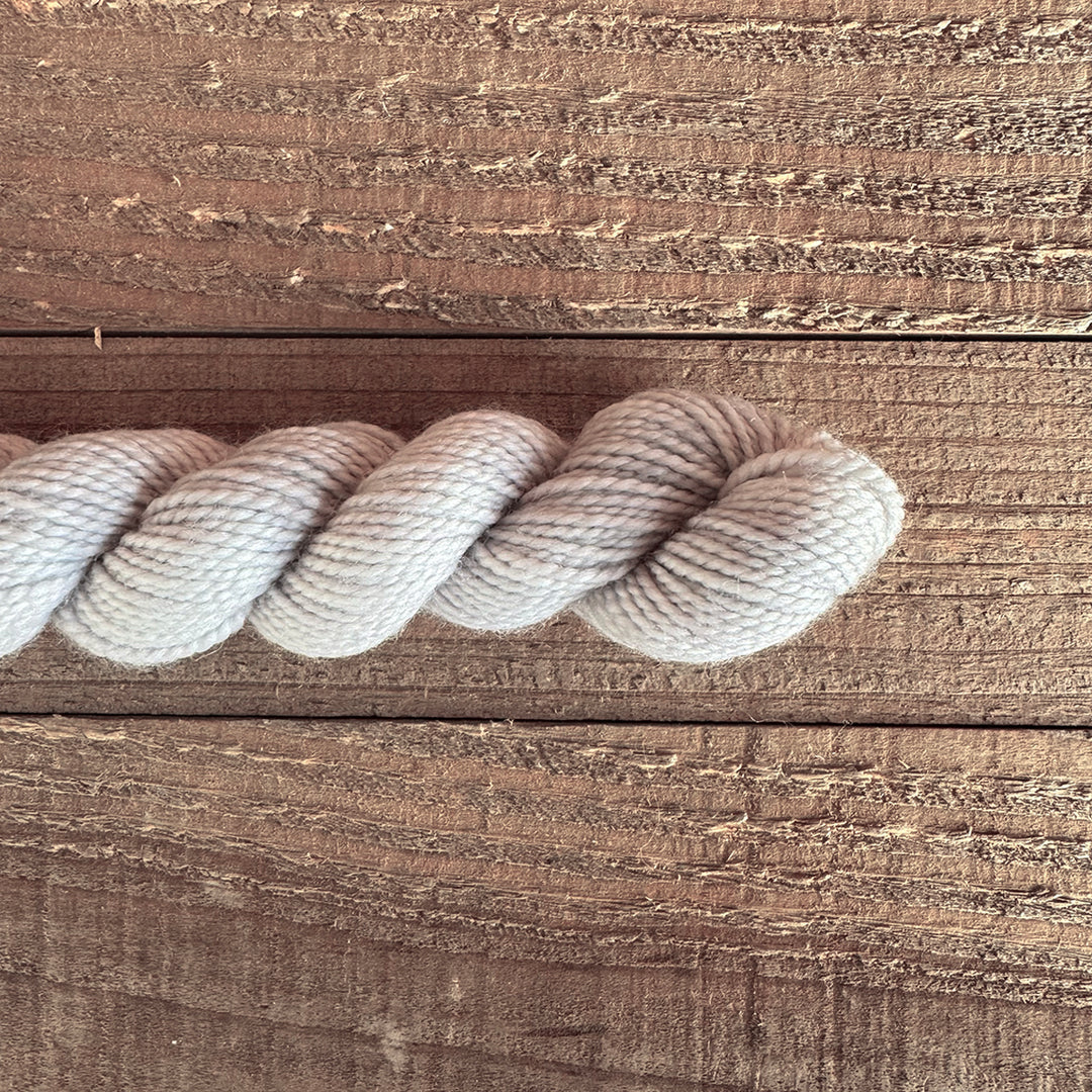 Old Rusted Chair Tonal Mini