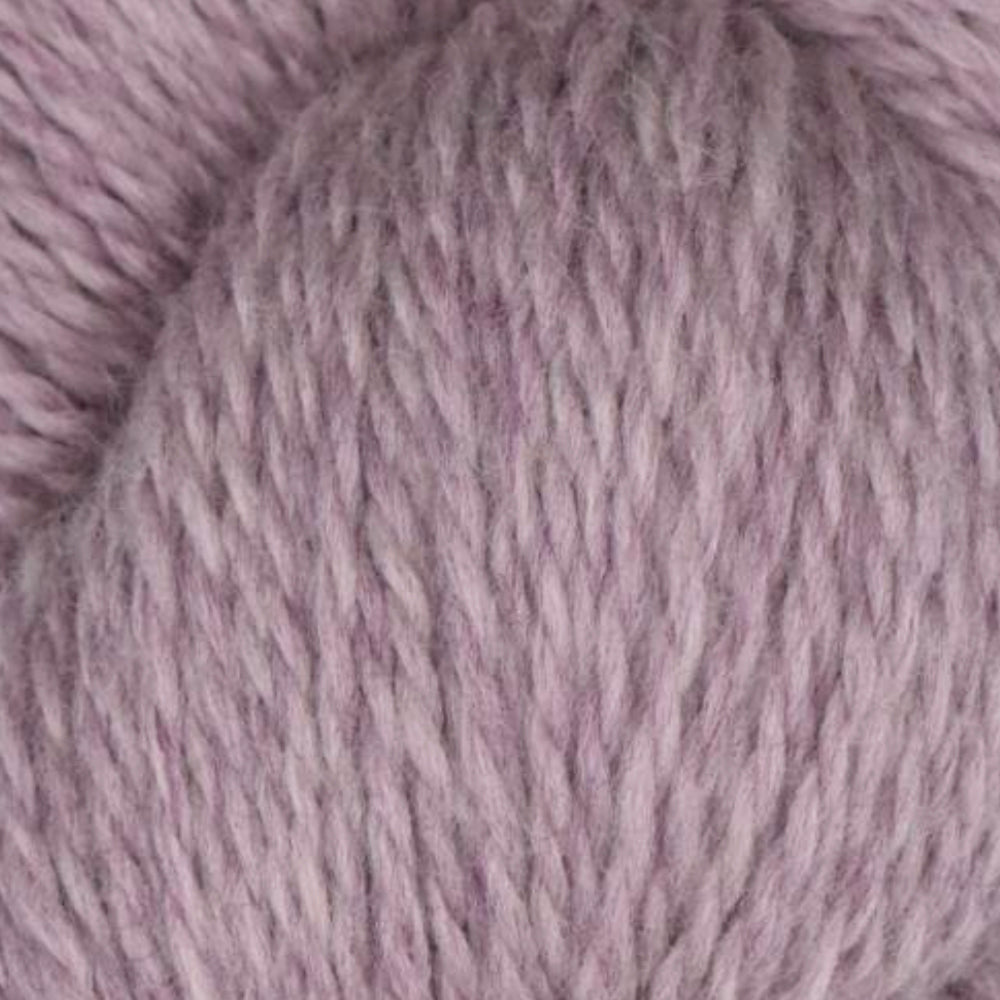 Rambouillet Merino