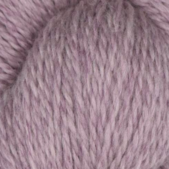 Rambouillet Merino