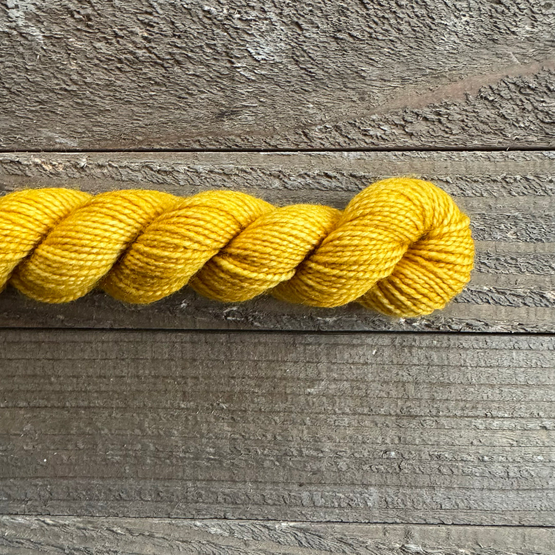 Old Rusted Chair Tonal Mini