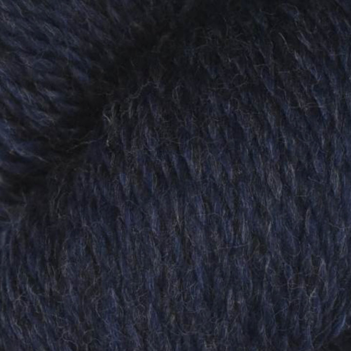 Rambouillet Merino