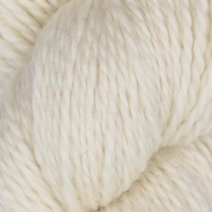 Rambouillet Merino